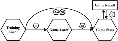 Biomechanical Loads and Their Effects on Player Performance in NCAA D-I Male Basketball Games